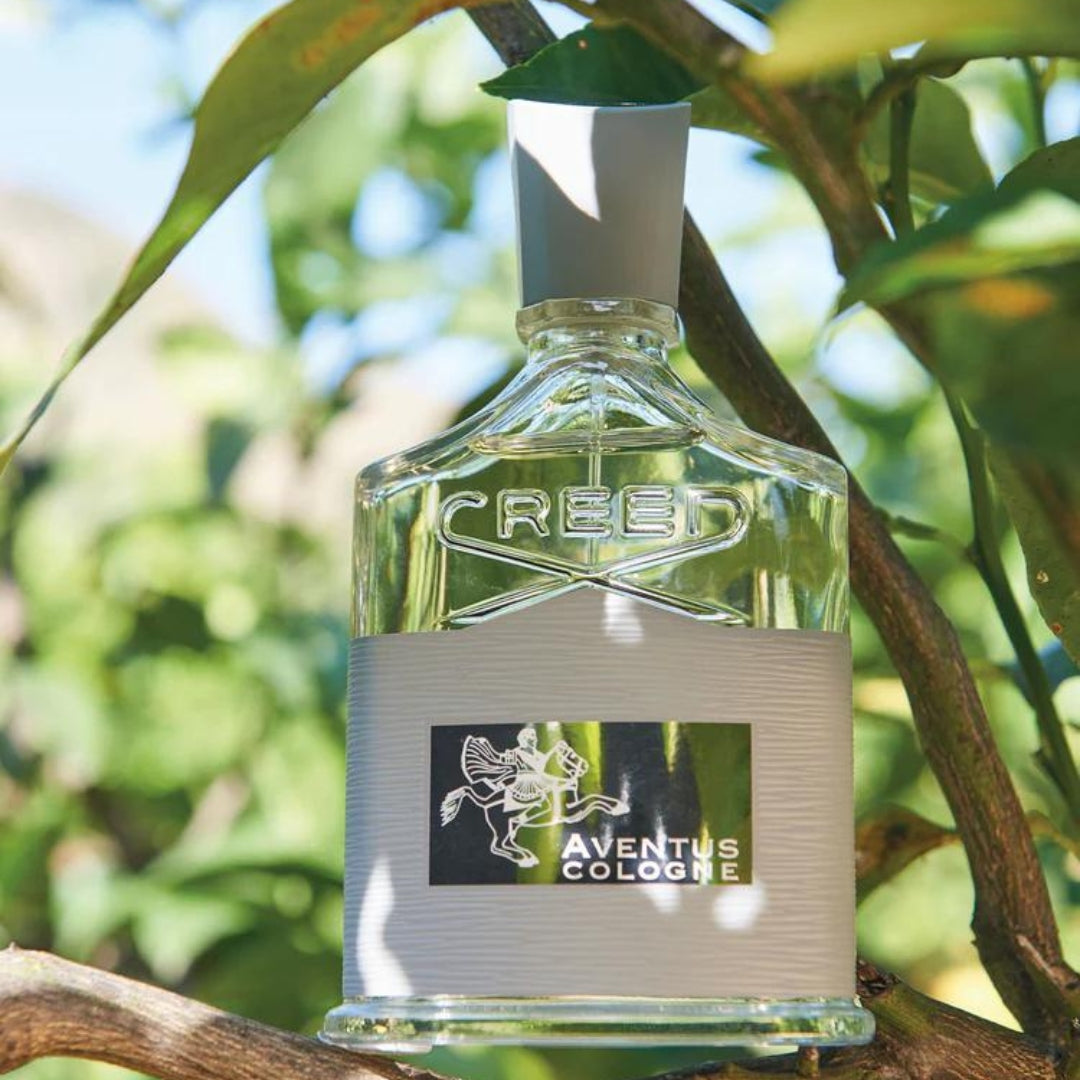 Aventus Cologne