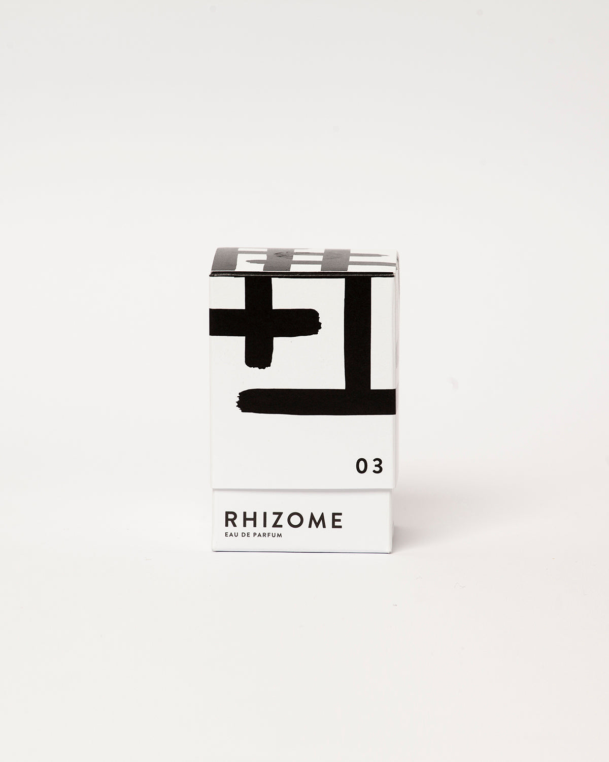 Rhizome 03