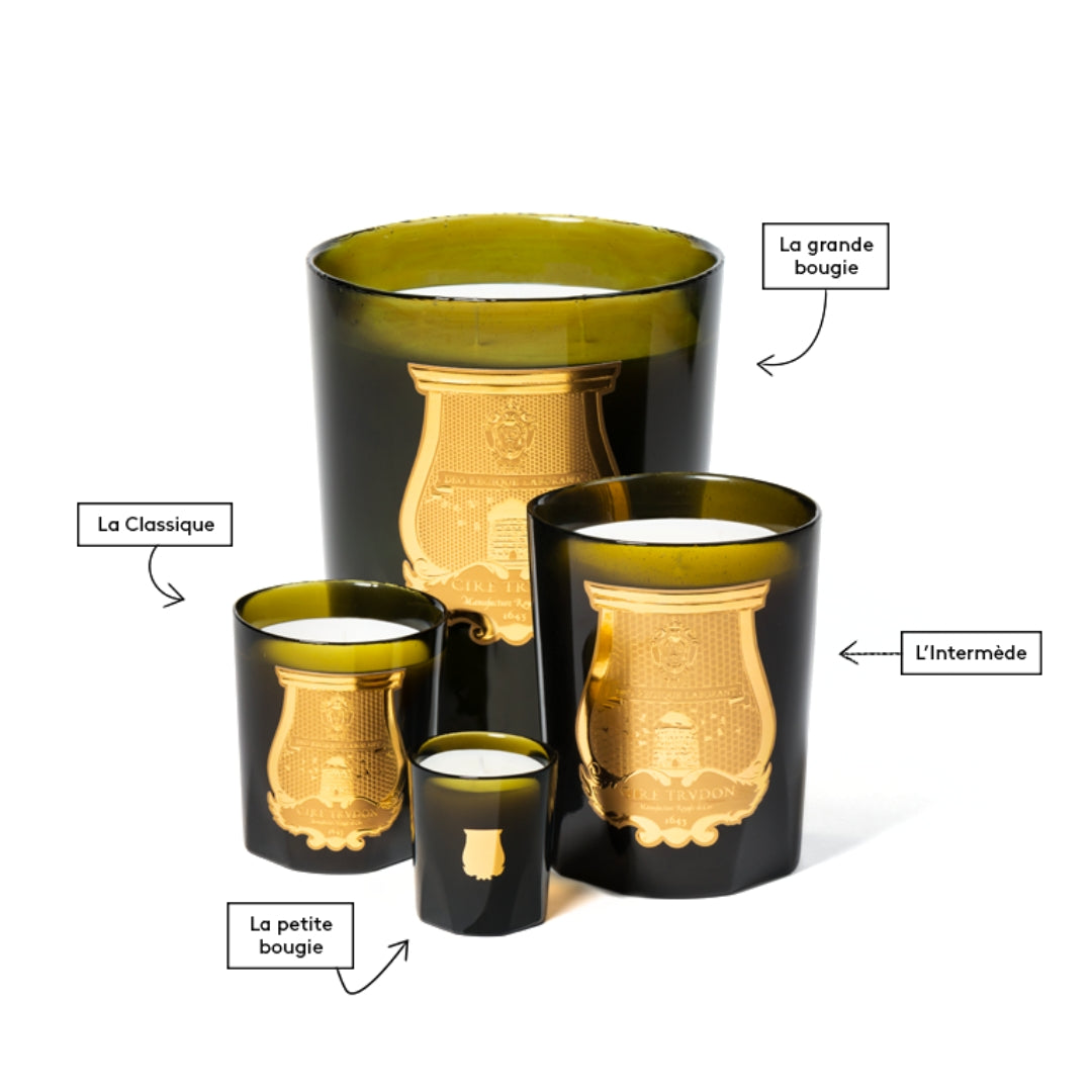 Ernesto